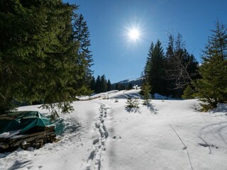 Landschaft