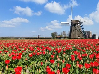 Frühling