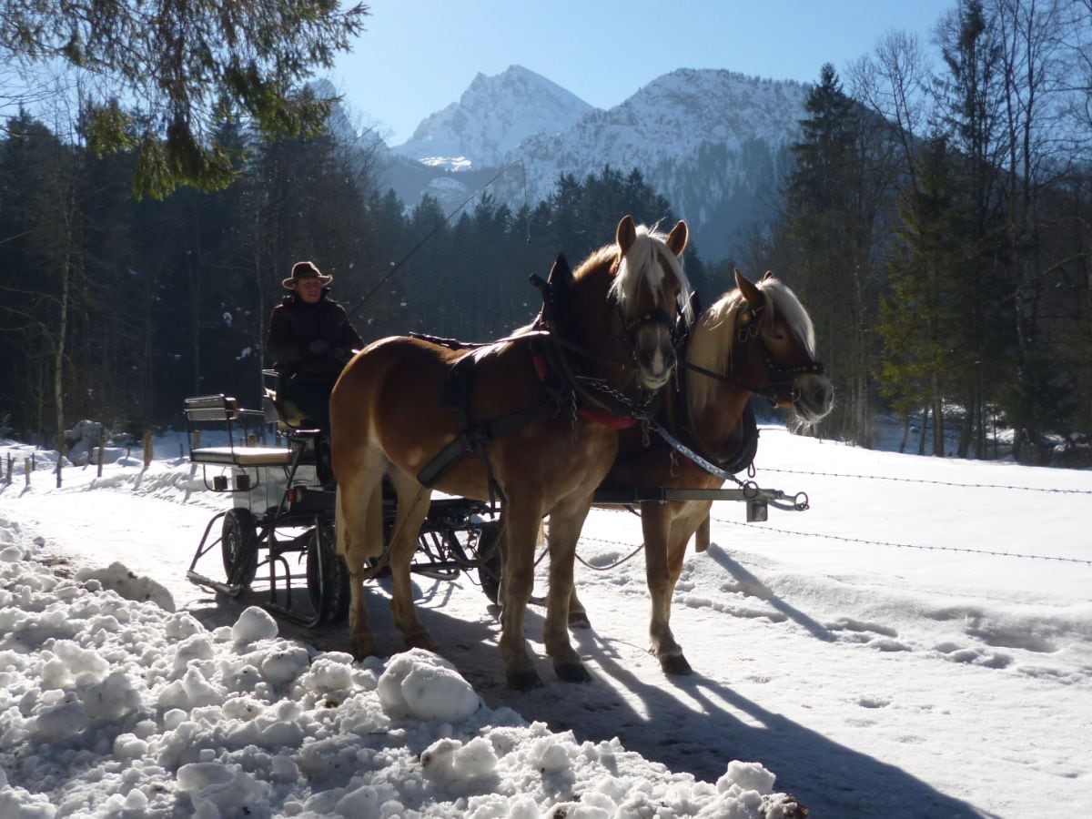 Ferienwohnung Schönau am Königssee Umgebung 18