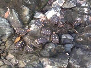 Villa Saint-Barthélemy Ambiente 19