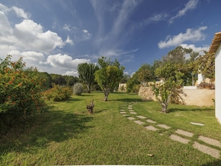 Villa Sant Josep de sa Talaia Außenaufnahme 10