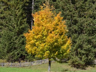 Bed & Breakfast Wolkenstein in Gröden Ambiente 25