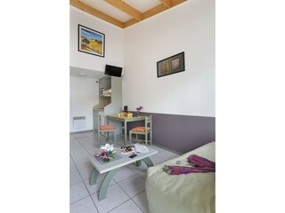Appartamento Toulouse Caratteristiche 18
