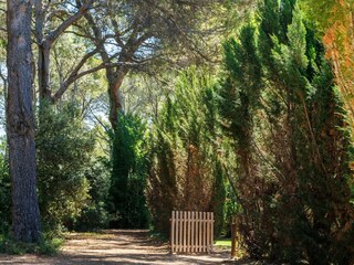 Casa de vacaciones Aubignan Grabación al aire libre 8