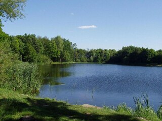 Parc de vacances Reek Environnement 17