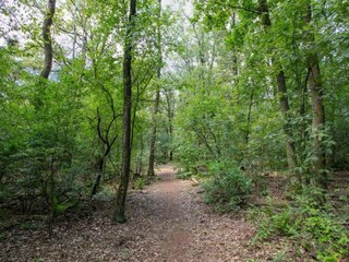 Parc de vacances Reek Environnement 20