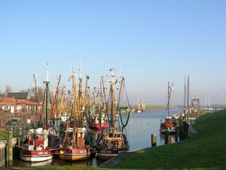 Hafen Greetsiel mit Krabbenkuttern
