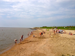 Strand an der Knock