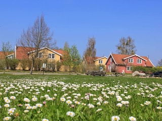 Ferienhäuser im Feriendorf "Müritzufer"