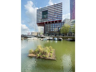 Floating green parks