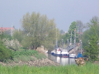Lüheblick