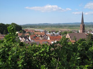 Eichstetten - the wine and vegetable village