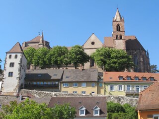 Breisach with cathedral