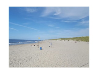 Strand bei Sint Maartenszee