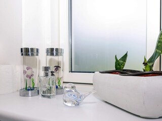 Ferienhaus Hals  21
