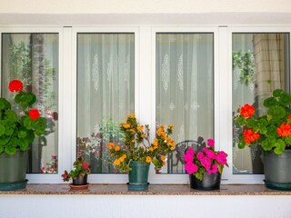 Apartment Povljana  27