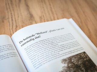 Apartment Noordwelle Ausstattung 13