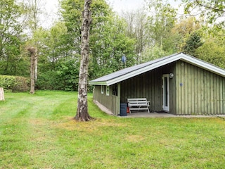 Ferienhaus Fjerritslev Außenaufnahme 5