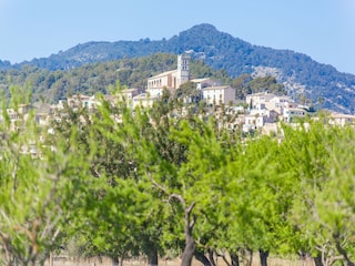 Villa Moscari Outdoor Recording 3