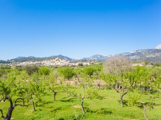 Villa Moscari Omgeving 18