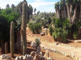 Villa Ses Salines Umgebung 13