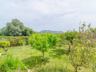 Villa Artà Buitenaudio-opname 7