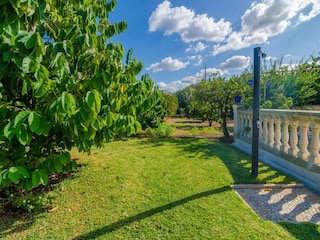 Villa Muro Entorno 39