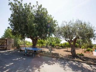 Villa S'Horta  10