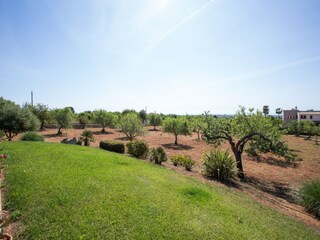 Villa S'Horta  37