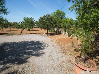 Villa S'Horta  38