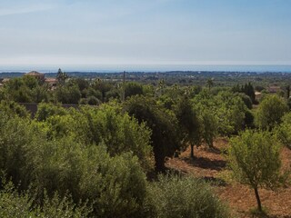 Villa S'Horta  15