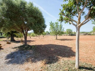 Villa S'Horta  17