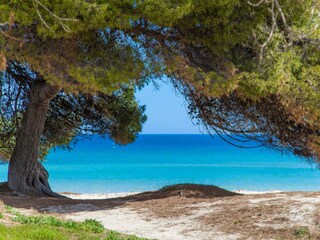 Appartement Alcudia Omgeving 22
