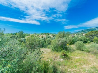 Villa Artà Environnement 35