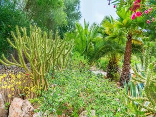 Apartamento Costitx Grabación al aire libre 11