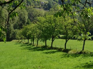 Casa per le vacanze Nauviale Ambiente 34