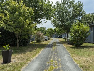 Vakantiehuis Saint-Georges-d'Oléron Omgeving 26