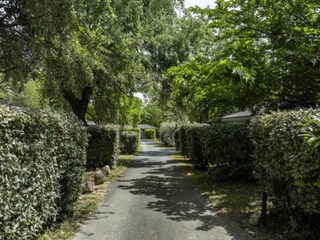 Vakantiehuis Saint-Georges-d'Oléron Buitenaudio-opname 8