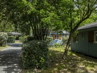 Maison de vacances Saint-Georges-d'Oléron Environnement 22