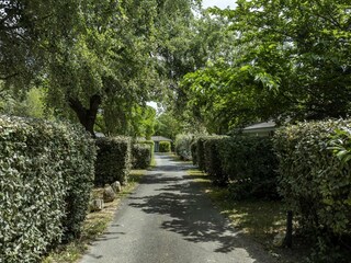 Vakantiehuis Saint-Georges-d'Oléron Omgeving 34