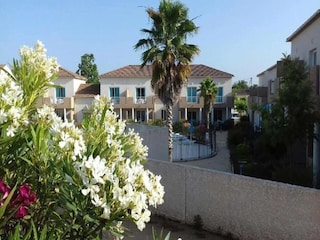 Ferienhaus Linguizzetta Außenaufnahme 3