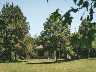 Chalet Welt Umgebung 12