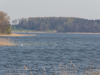 Schaalsee