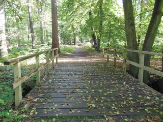 "Schlangenbrücke" im Seedorfer Werder