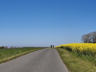 Umgebung