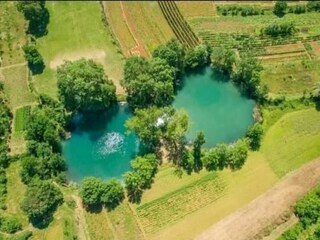 Holiday house Grubine Environment 50