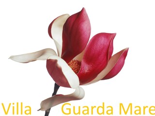 Villa Roccatederighi Documento 24