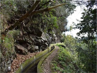 Levada walks near Caniço