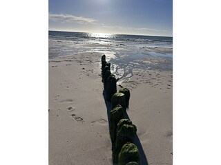 Am Strand