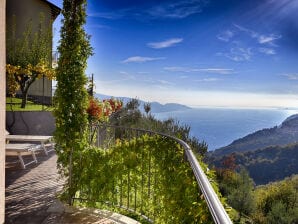 Holiday apartment Belvedere - Tignale - image1